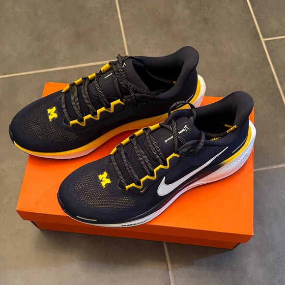 NWT! Men’s size 10.5 Nike Zoom Pegasus 41 Michigan - Picture 2 of 8